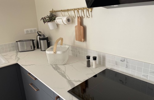 Wacquinghen Apartment | Apartment-Ensuite with Shower-Terrace-Rdc Les pins qui chuchote