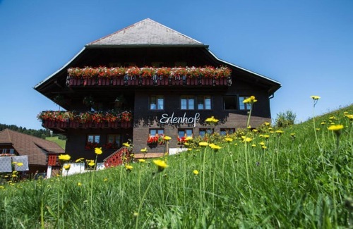 Todtnauberg Apartment | Apartment 'Erlenbach' with Shared Terrace, Shared Garden and Wi-Fi