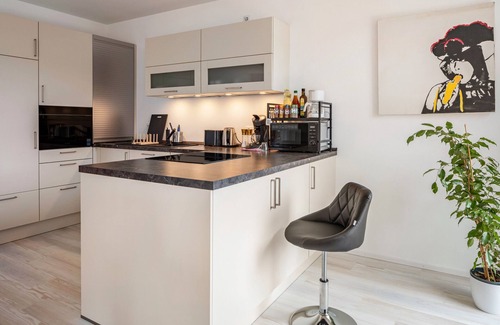 Waldkirch Apartment | Apartment 'Felsenkeller 15' with 29m² terrace and loggia