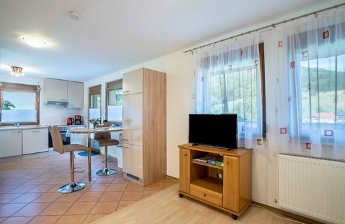 Schuttertal Apartment | Apartment 'Ferienwohnung Ohnemus' with Private Terrace and Wi-Fi