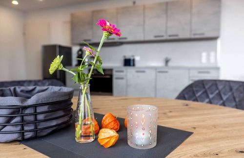 Allensbach Apartment | Apartment 'Ferienwohnung Seeblick' with Balcony, Wi-Fi and Air Conditioning