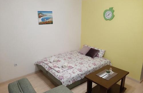 Golubovina Apartment | Apartment in CENTER of Budva