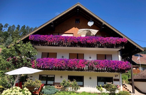 Enzklosterle Apartment | Apartment 'Lappach' with Garden and Wi-Fi