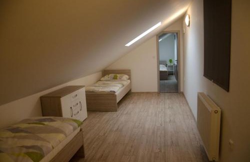 Slavkov u Brna Apartment | Apartment Lidická Slavkov, 4 person