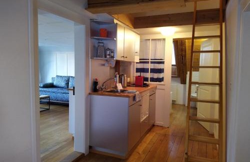 Einsiedeln Apartment | Apartment Meinradsberg mit Balkon