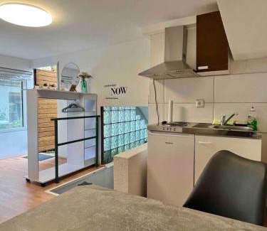 Neuenheim Apartment | Apartment mit Garten Heidelberg - Nähe Universitätsklinikum Neuenheim