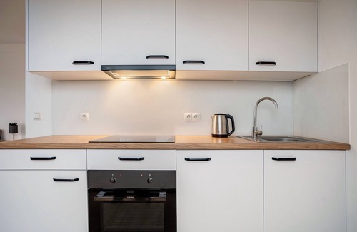 Greifswald Apartment | Apartment 'Modernes Loft In Greifswald' with Balcony and Wi-Fi