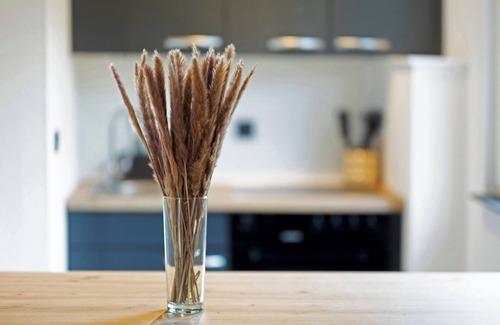 Frenkhausen Apartment | Apartment 'Oase' with Mountain View, Private Garden and Wi-Fi