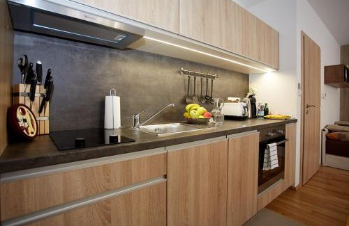 Zelezna Ruda Apartment | Apartment Rezidence - Javor & Wellness