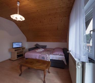 Catrnja Apartment | Apartment Smoljanac 14979a