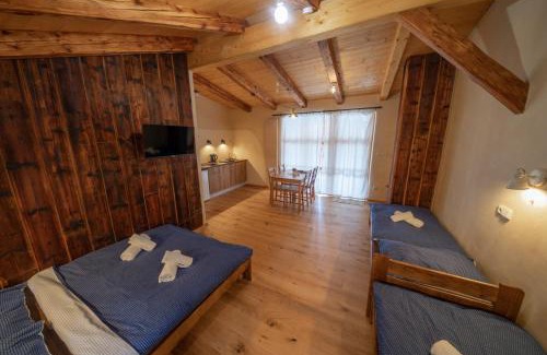 Teplice nad Metuji Apartment | Apartment Ve Mlýně
