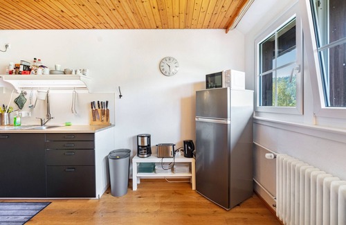 St. Blasien Apartment | Apartment 'Wohnung 4 - Familiensuite Plus' with Balcony and Wi-Fi