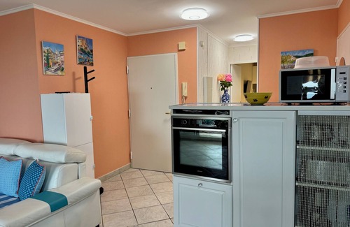Saint Pierre de Feric Apartment | apartments - 2 rooms - 2/5 persons