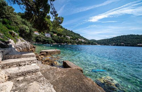 Ubli Apartment | Apartments by the sea Ubli, Lastovo - 8344
