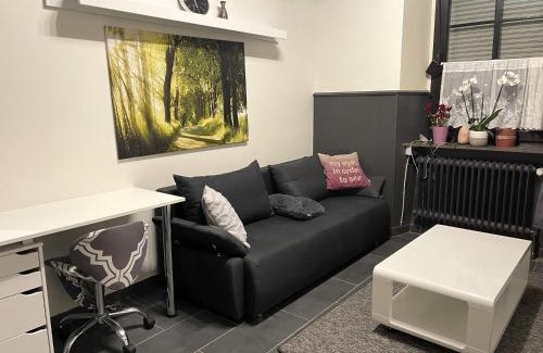 Pellingen Apartment | Apartments Pellinger-Hof