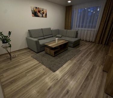 Panevezys Apartment | Apartments Victoria