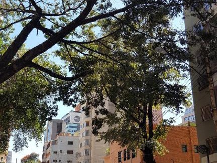Chacao Apartment | apartosuite Sabana Grande