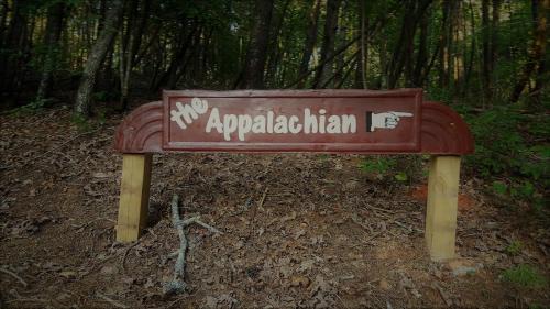 Ellijay House | Appalachian Cabin- Trout Stream Firepit Hot Tub