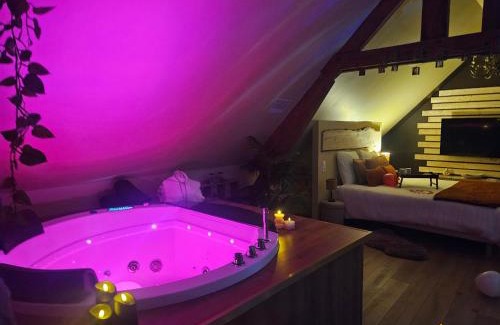 La Bassee Apartment | Appart Cosy avec SPA privatif proximité Lille, Le Chalet