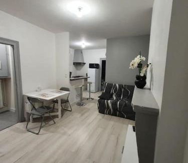 Issoudun Apartment | Appart T2 RDC clim wifi Issoudun