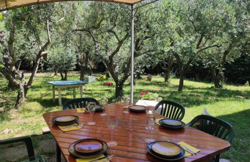 San Giovanni In Marignano House | Appartamento Dai Nonni San Giovanni in Marignano