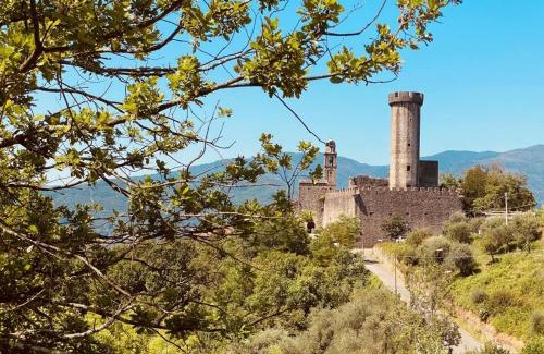 Villafranca in Lunigiana Apartment | Appartamenti l'Olivo