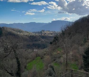 Barga Apartment | Appartamento ai Domenichetti