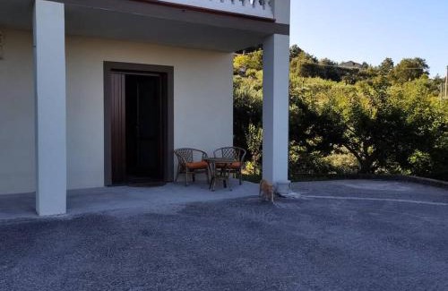 Torraca Apartment | Appartamento "Il Glicine"