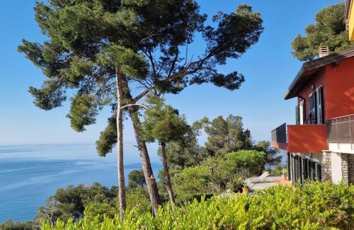 Capo Mimosa-Rollo Apartment | Appartamento in Villa Mimosa