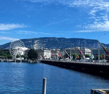Downtown Geneva Apartment | Appartement 1,5 Genève Lac