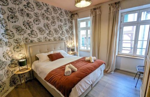 Colmar Centre Ville Apartment | Appartement A Travers Champs avec Sauna et Parking