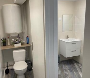Pont-de-Cheruy Apartment | Appartement Agility proche LDLC Arena Stade Groupama Lyon Eurexpo