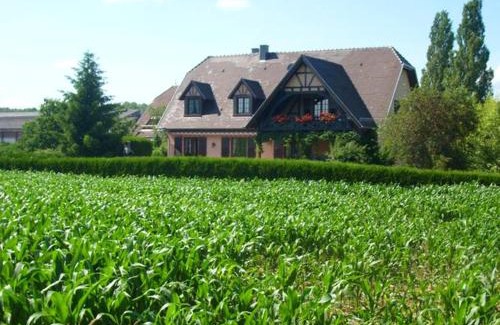 Hochfelden Apartment | Appartement charmant à Hochfelden - 100 m² et parking gratuit