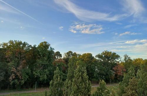 Waldstadt Feldlage Apartment | Appartement Farbenfroh