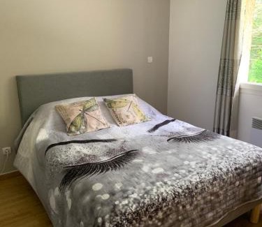 Corbelin Apartment | APPARTEMENT LE DOMAINE DES LIBELLULES PROCHE WALIBI