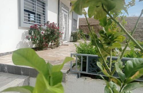 Taounate Apartment | Appartement luxueux à louer à Taounate
