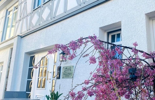 Hoehr-Grenzhausen Apartment | Appartement Rose - 2-bed apartment - Apartments in the Château d'Esprit