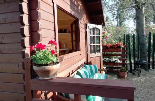 Capannelle House | Appia Antica Cottage