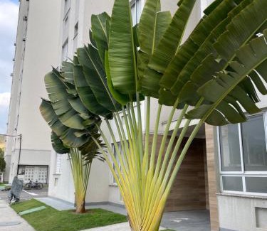 Vila Santa Alice Apartment | Apto 2 qts em Xerém próximo ao CT do Fluminense