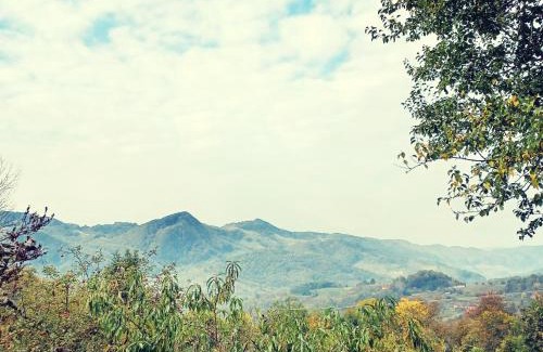 Buces House | Apusenia - darul naturii