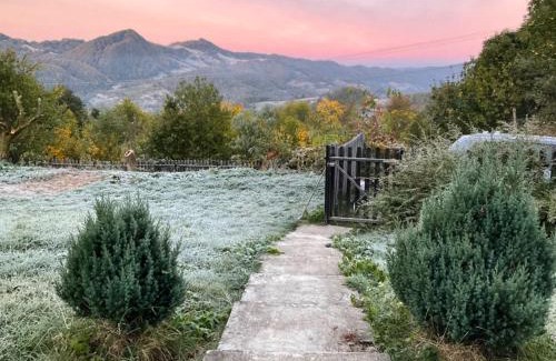 Buces House | Apusenia - darul naturii