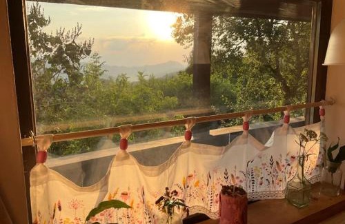 Buces House | Apusenia - darul naturii