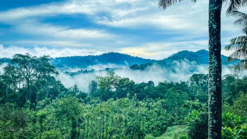 Somvarpet House | Arabica Homestay