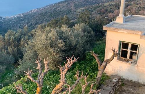 Ikaria Apartment | Arathinos