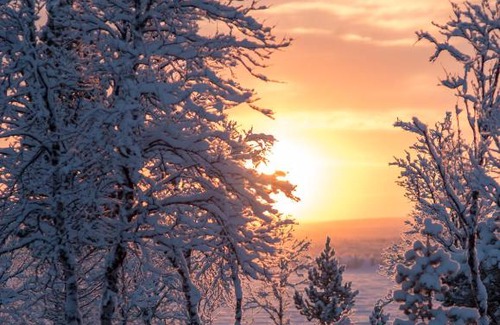 Kiruna Cabin | Arctic Gourmet Cabin