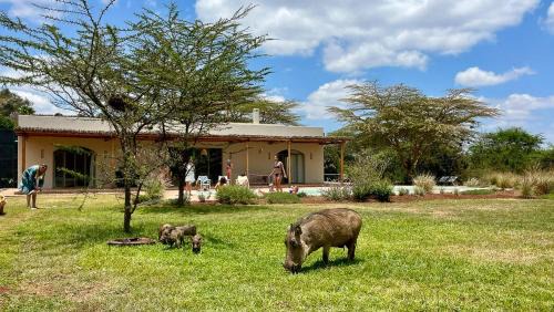 Langata House | Arimuni Poolhouse -Breathtaking views, surrounded by nature and a private pool