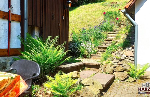 Walkenried Cottage | Arode Hütte Harzilein - Romantic mountain cottage on the edge of the Forest