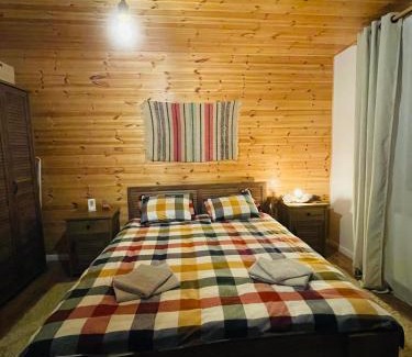 Arpasu de Sus House | Arpas Spirit