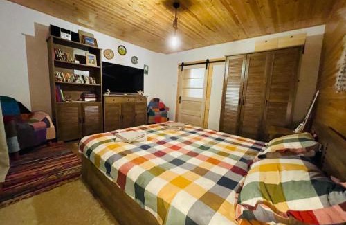 Arpasu de Sus House | Arpas Spirit