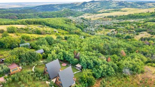 Ceptura Ski Chalet | Arta Chalet